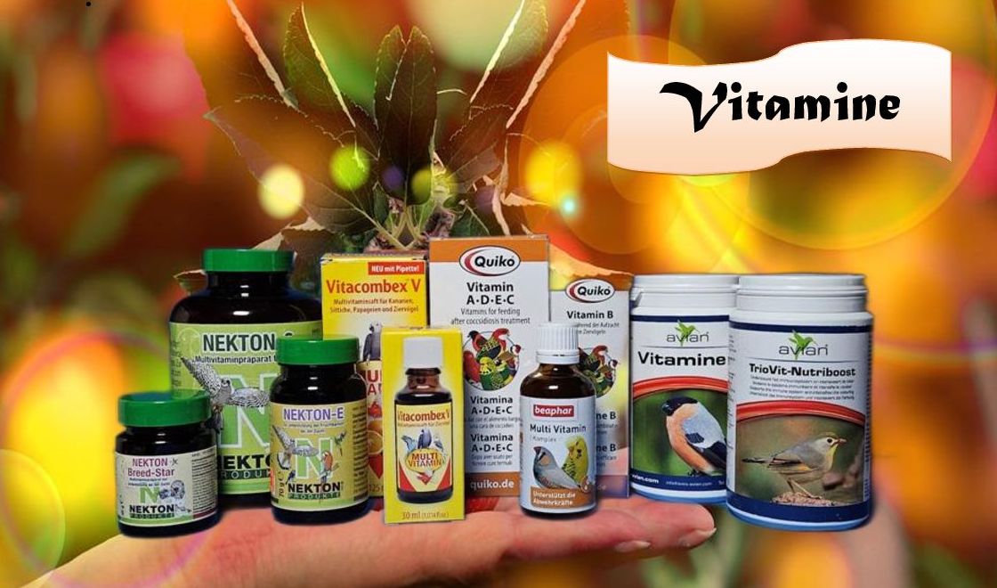 Vitamin - Produkte verschiedener Hersteller